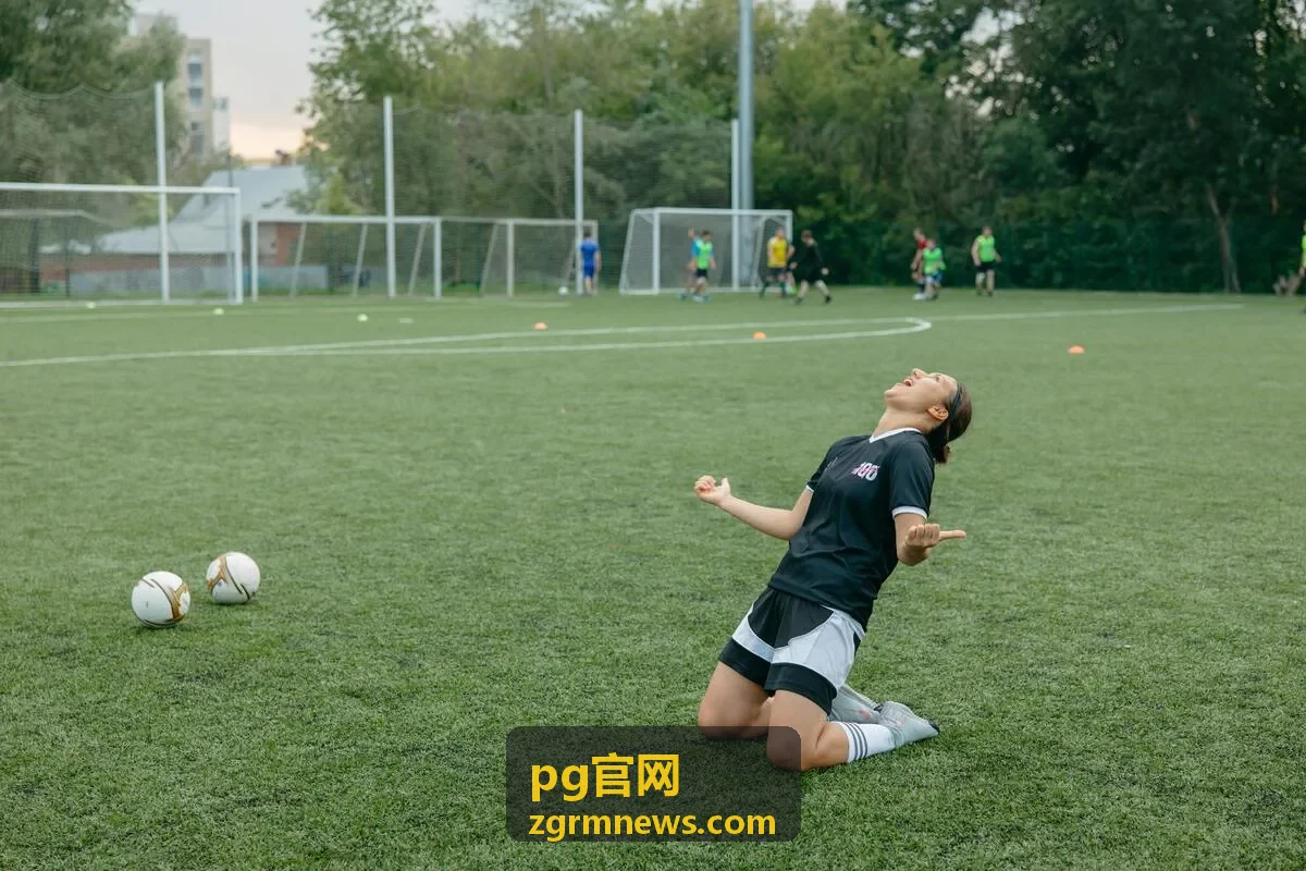pg官网版本记录与更新说明页面示意
